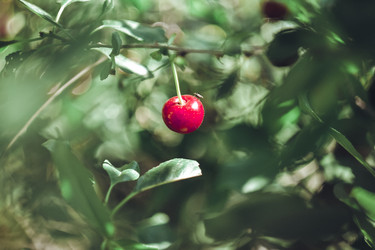 Similar image 21443422