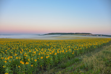 Similar image 21443428