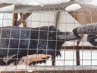 Similar image 21449232