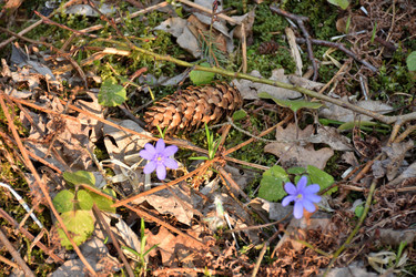 Similar image 21449233