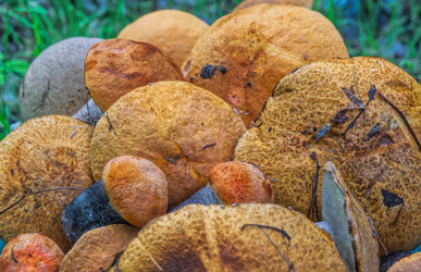 Similar image 21442779