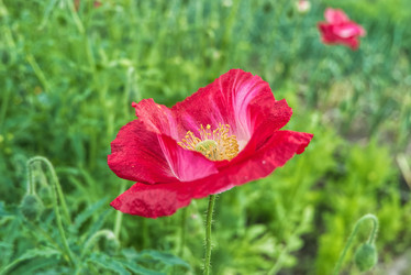 Similar image 21442780