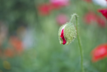 Similar image 21442781