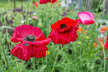 Similar image 21442782