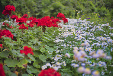 Similar image 21442784