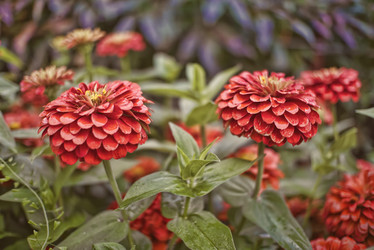 Similar image 21442785