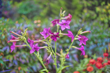 Similar image 21442786