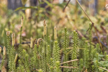 Similar image 21442788