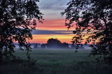 Similar image 21449238