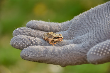 Similar image 21446552