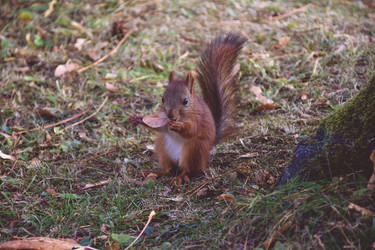 Similar image 21446555