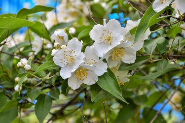 Similar image 21446557