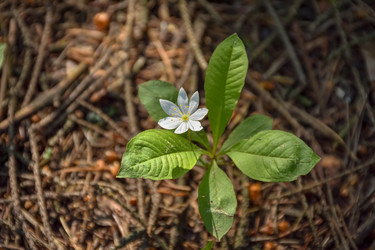 Similar image 21446559