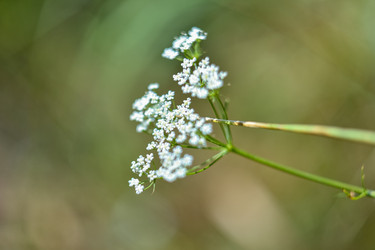 Similar image 21447070