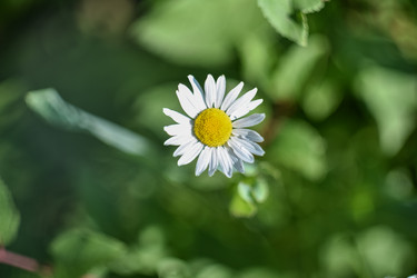 Similar image 21447088