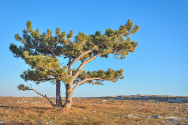 Similar image 21448876