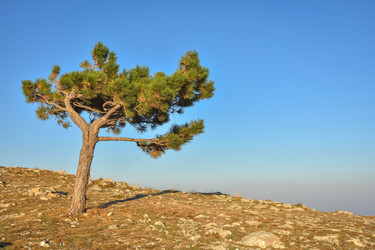 Similar image 21448879