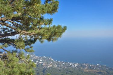 Similar image 21448925