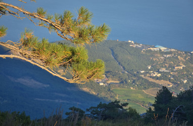 Similar image 21448928