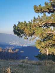 Similar image 21448931