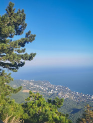 Similar image 21448934