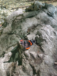 Similar image 21448939