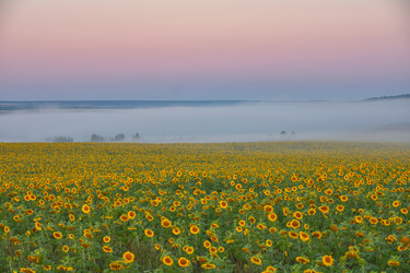 Similar image 21449040