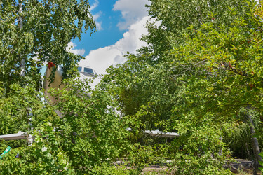 Similar image 21449052