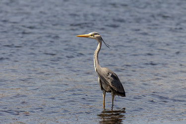 Similar image 21443767