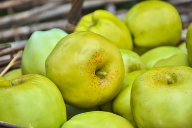 Similar image 21449126