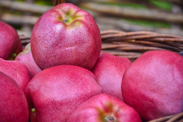 Similar image 21449127