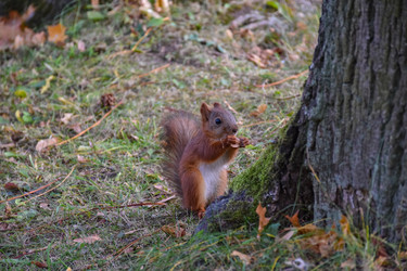 Similar image 21449129