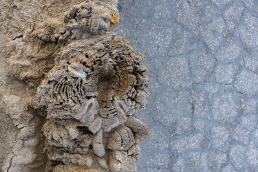 Similar image 21449131