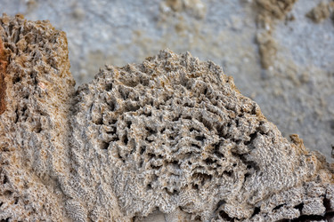 Similar image 21449133