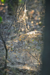 Similar image 21449248