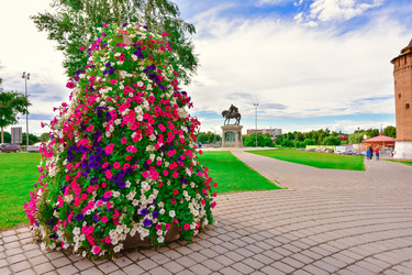 Similar image 21449260