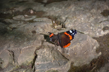 Similar image 21449262