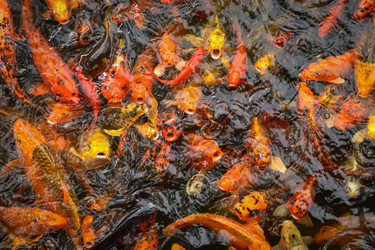 Similar image 21449269