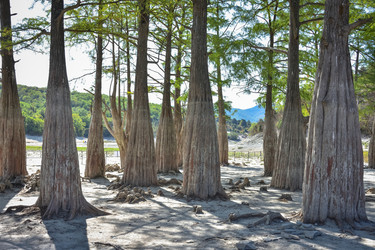 Similar image 21449270