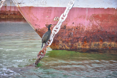 Similar image 21469511