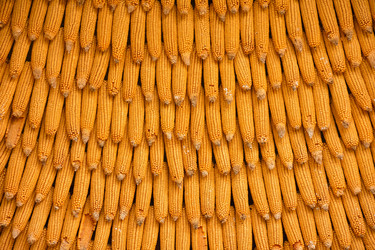 Similar image 21449274