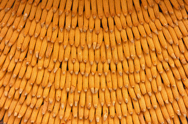 Similar image 21449277