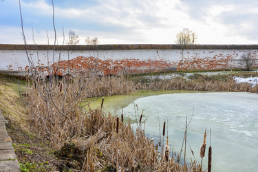 Similar image 21449279