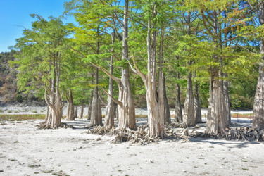 Similar image 21449280