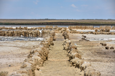 Similar image 21449282