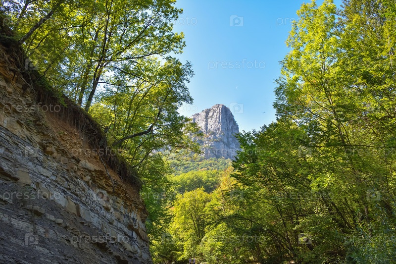 Вид на горы в зелени, зеленые холмы