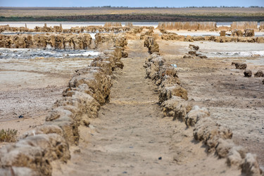 Similar image 21449292