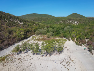 Similar image 21447110