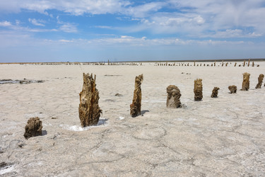 Similar image 21447113