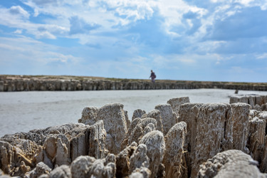 Similar image 21447114